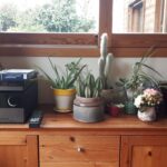 Le buffet ‘musique’ accueil à présent tous les CD, Vinyles et lecteurs à l’intérieur, et les plantes ont trouvé leur place sur le dessus.
